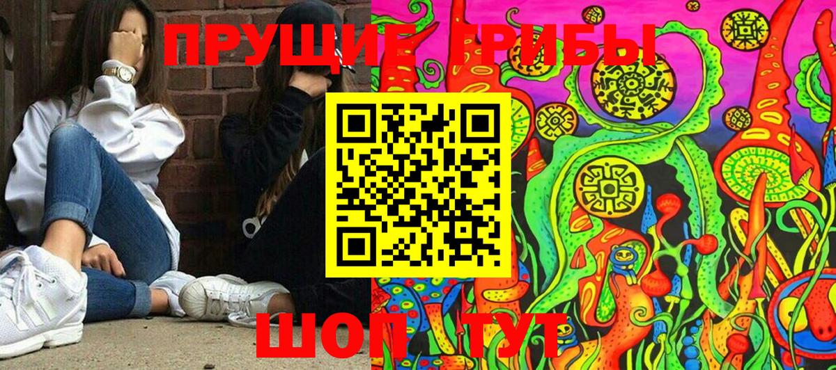 Псилоцибиновые грибы GOLDEN TEACHER  Вход с VPN  Менделеевск 